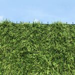 FenceGrass